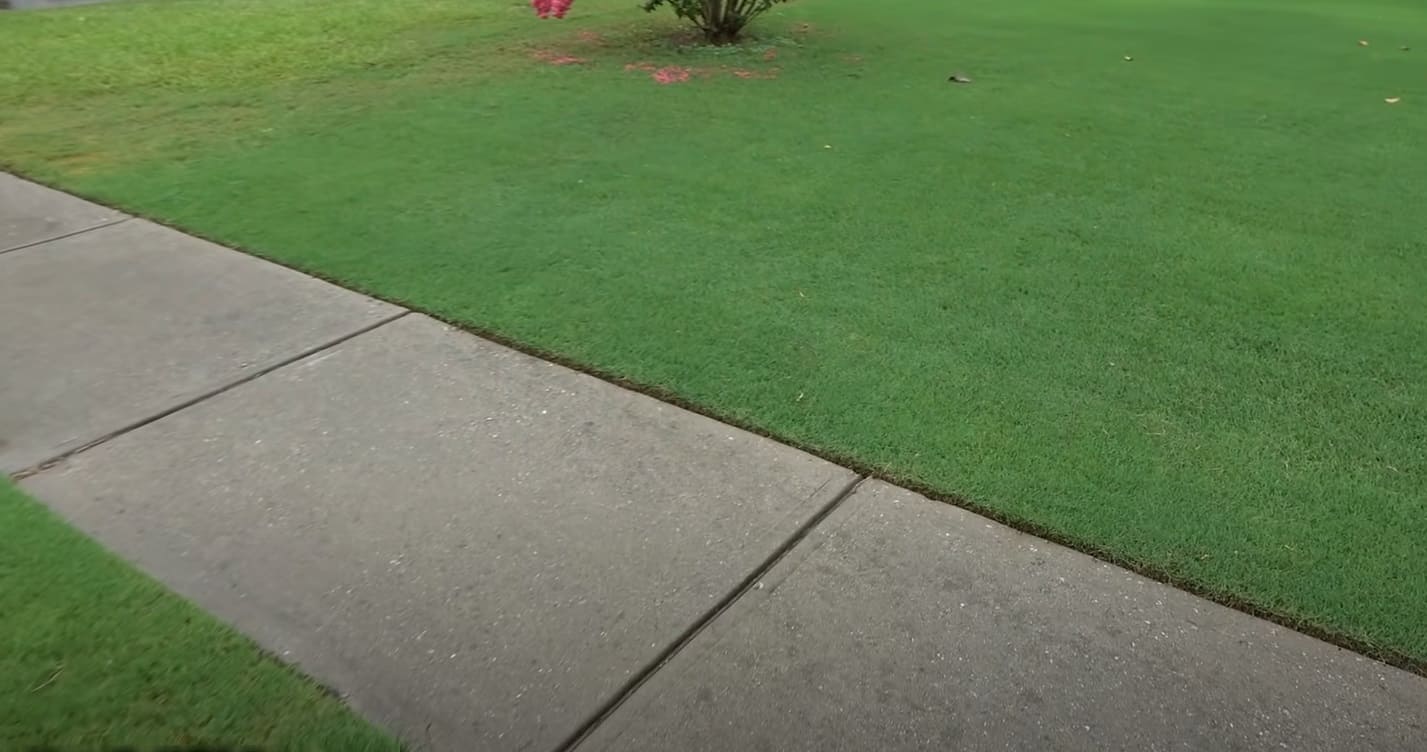 Can You Mix 2,4D and Roundup? CanYouMix