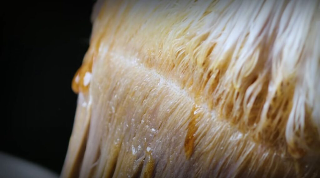 What You Need to Know to Mix Bleach With Hair Dye?