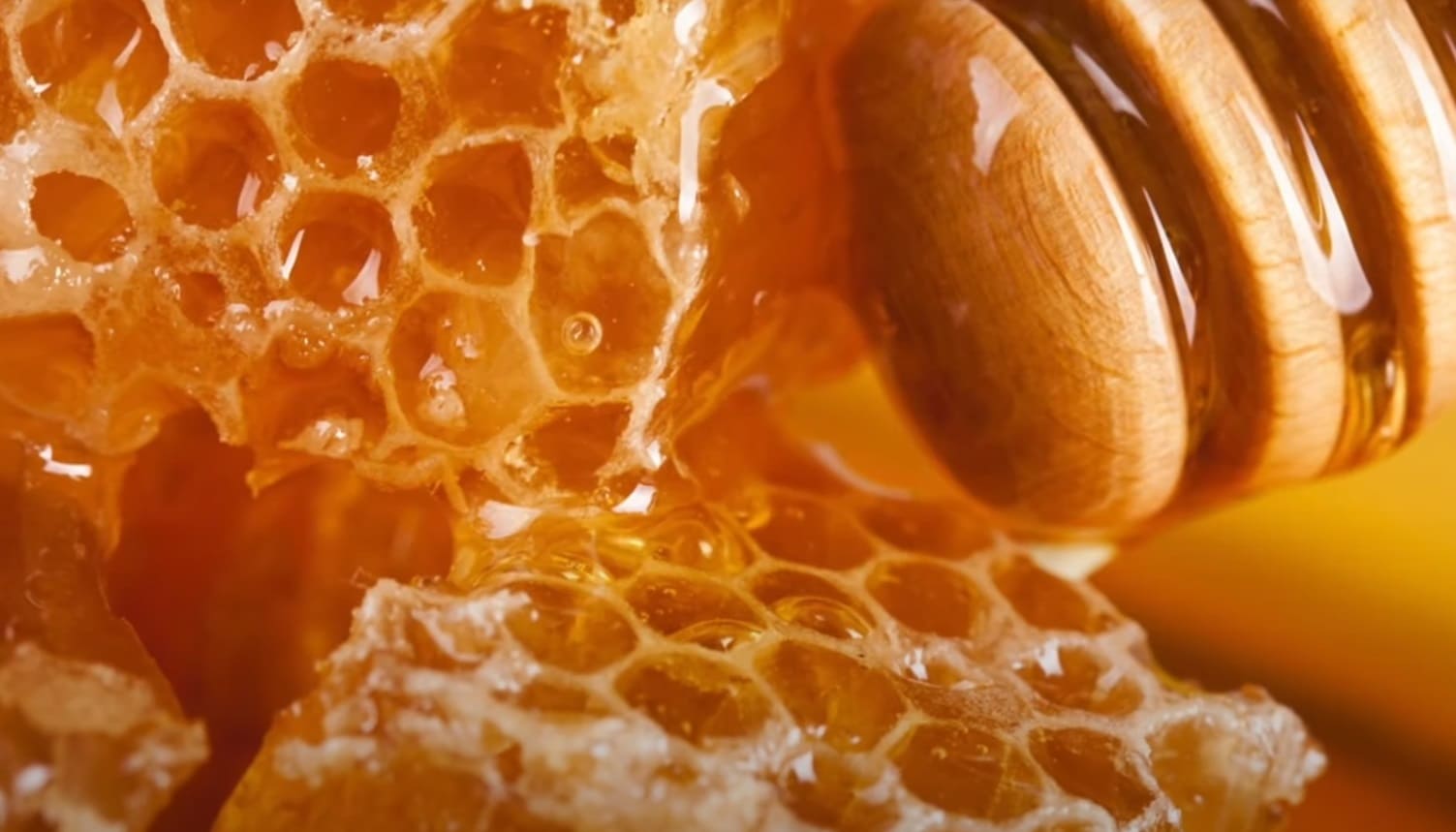 Can You Mix Honey and Maple Syrup? CanYouMix