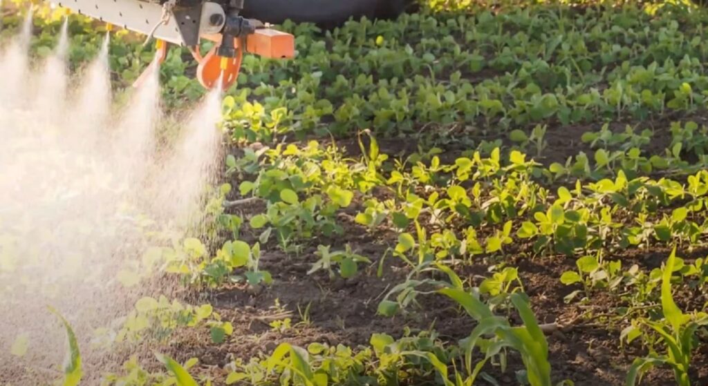 Disadvantages Of Mixing Roundup With Gramoxone