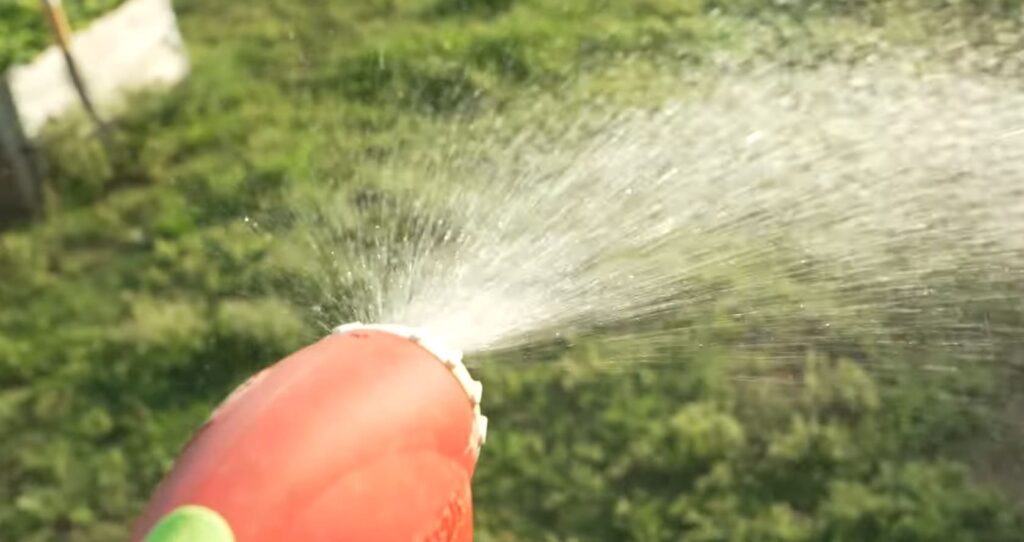 Can You Mix Quinclorac and 2,4D? (Explained!) CanYouMix