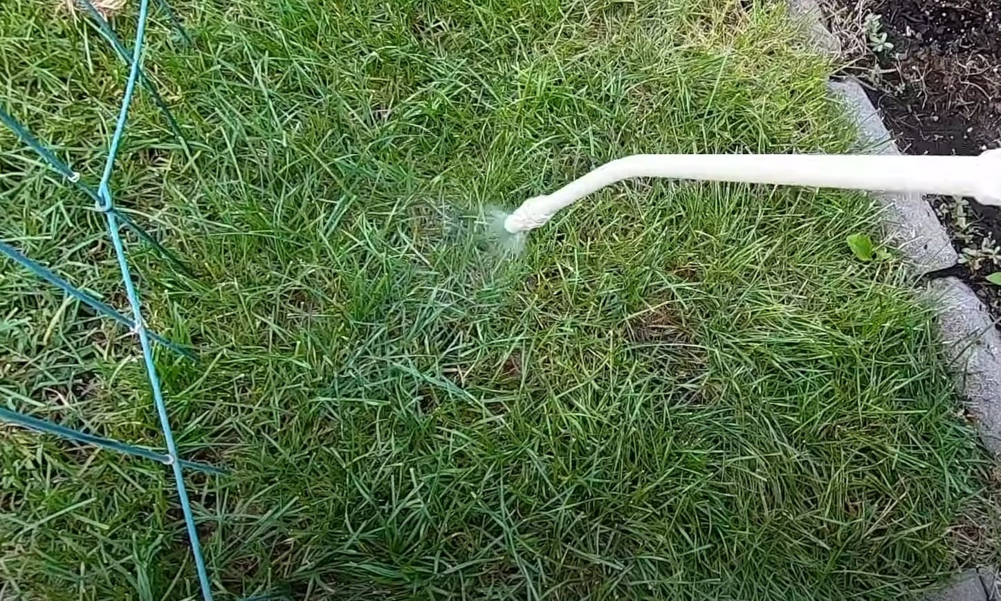 Can You Mix Roundup With Vinegar? CanYouMix