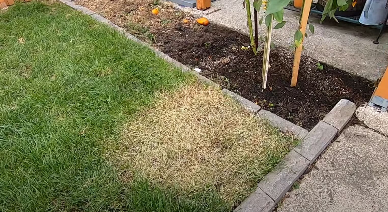 Can You Mix Roundup With Vinegar? CanYouMix