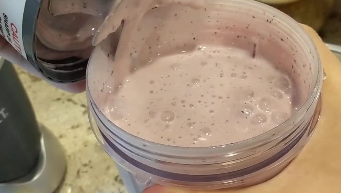 What Blenders Does Smoothie King Use? CanYouMix