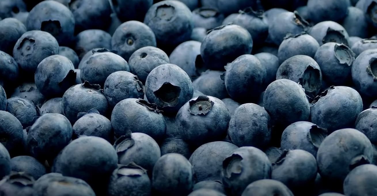 What Blenders Does Smoothie King Use? CanYouMix