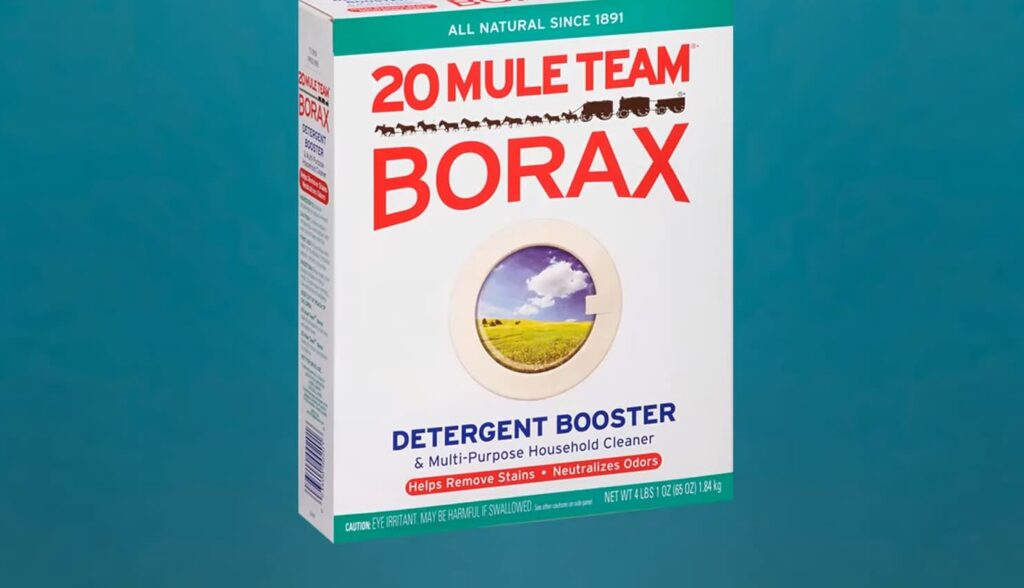 Difference Between Borax and OxiClean