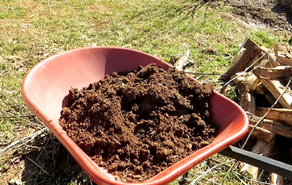 Understanding the Differences Between Potting Soil And Garden Soil