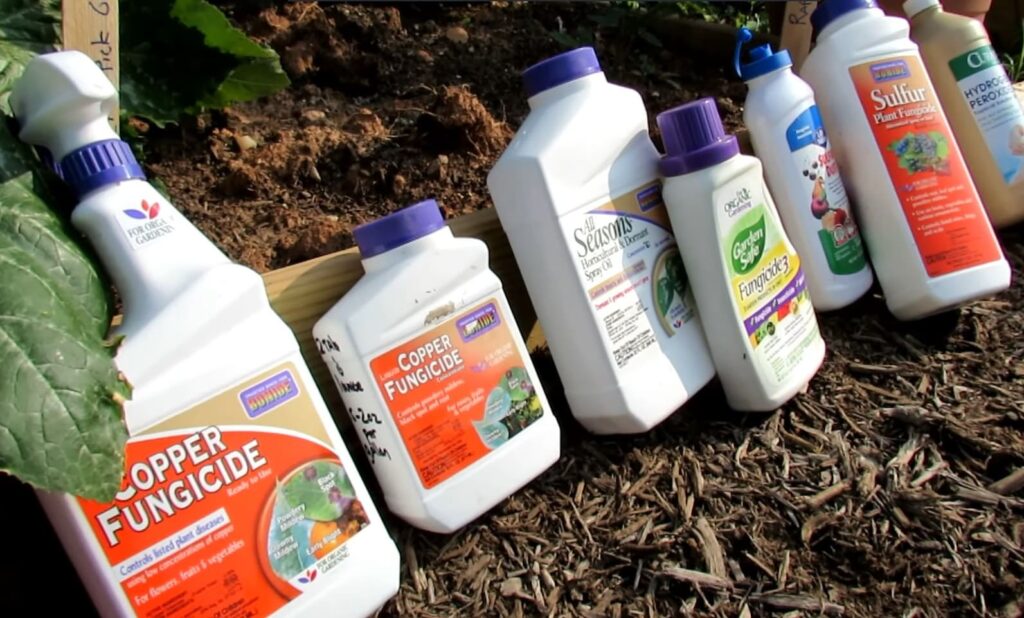 Alternatives to Mixing Fungicide With Fertilizer