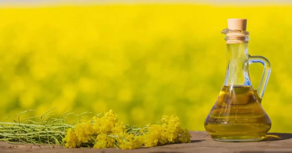 What's the Difference Between Crisco and Vegetable Oil?