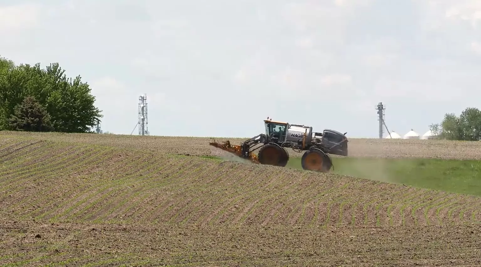 Can You Mix Roundup and Atrazine?