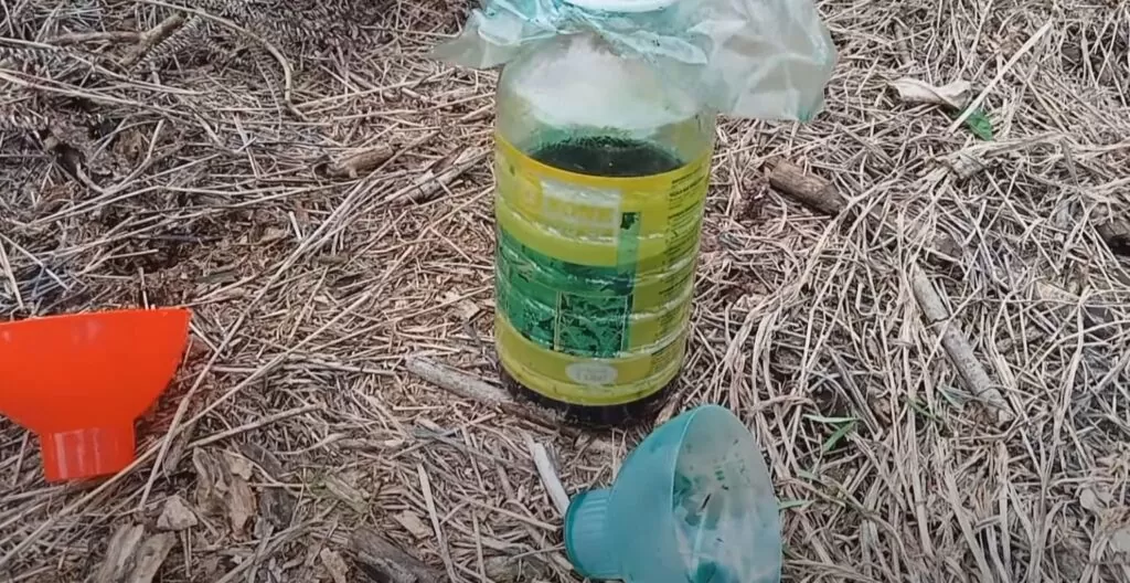 How Gramoxone Was Created?