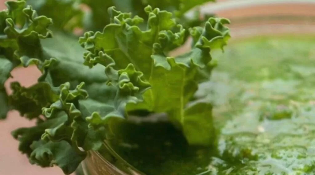 What Are Athletic Greens and Protein Powder?