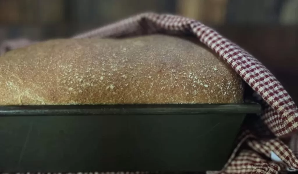 Useful Tips for Using Bread Machines