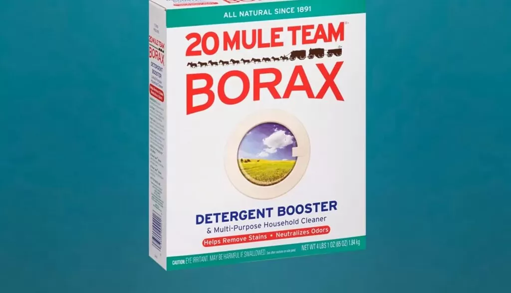 Difference Between Borax and OxiClean