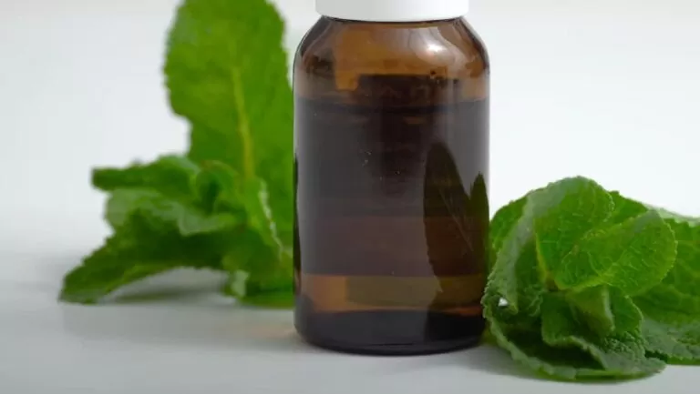 Can You Mix Lemongrass and Peppermint Oil?
