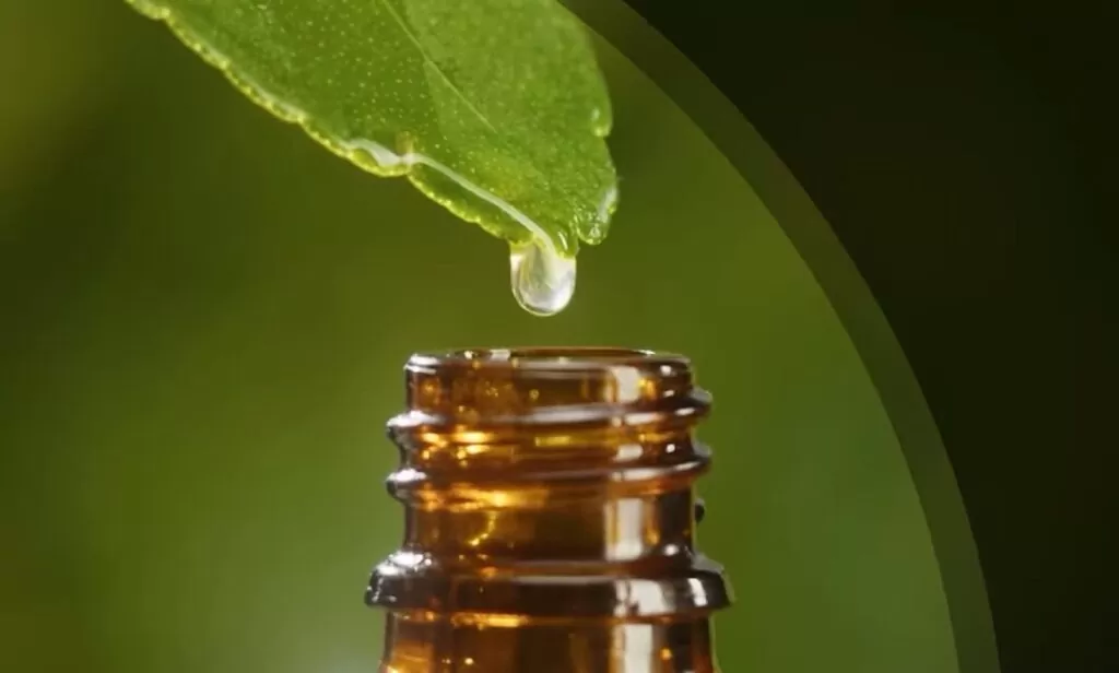 What is Vaseline?